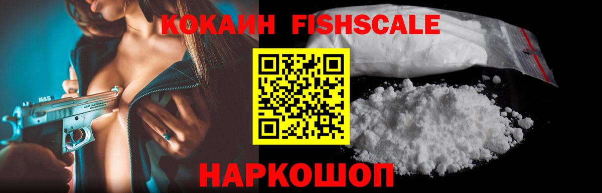 Мурино  Cocaine Fish Scale  Вход с VPN  Cocaine FishScale 
