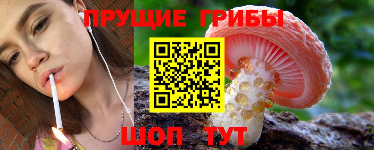 Псилоцибиновые грибы Psilocybe Мурино