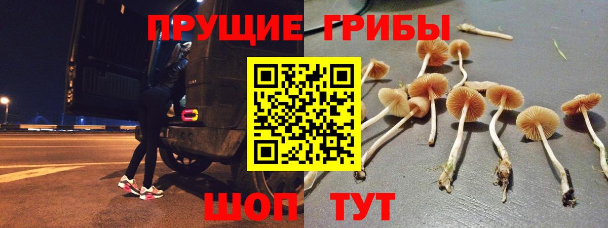 Галлюциногенные грибы Magic Shrooms  Вход с VPN  Мурино 